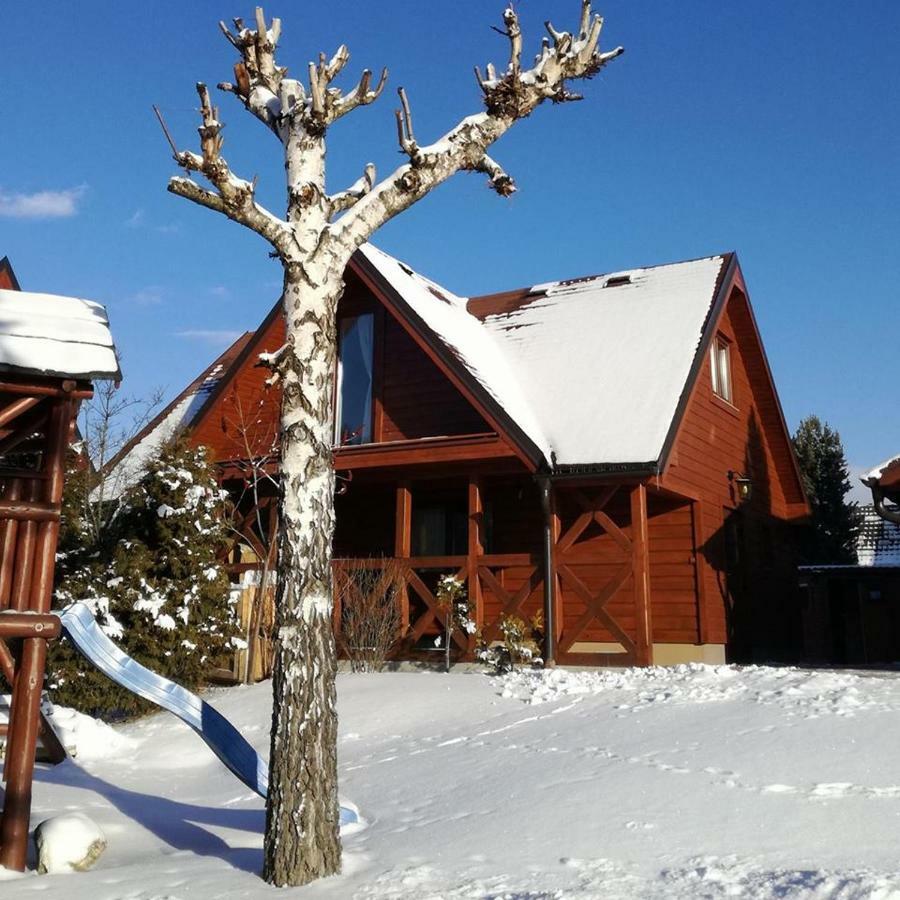 Domcek Pri Vode Villa Mlynceky Екстериор снимка